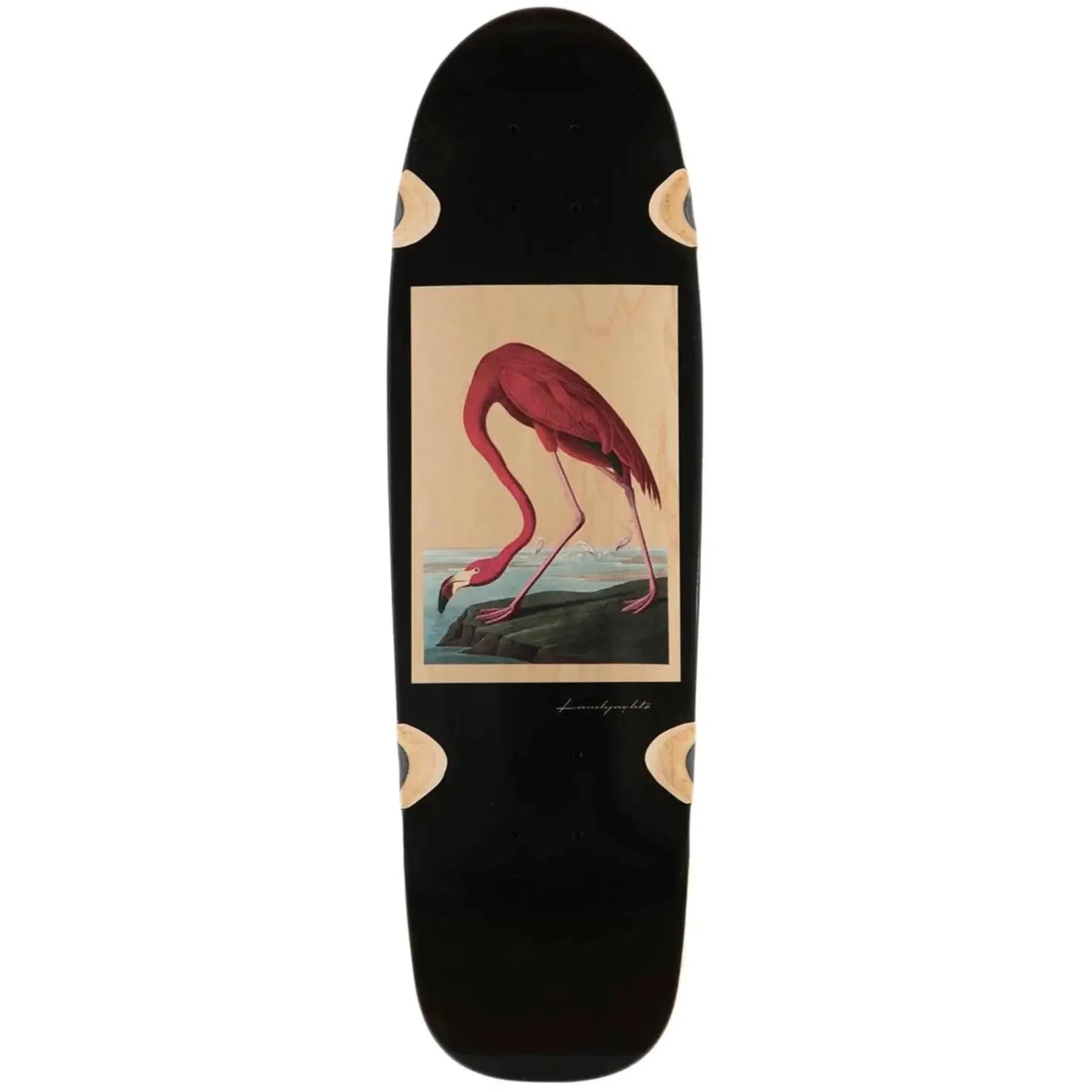Landyachtz Classic Dinghy 28.5" Cruiser Skateboard Deck Flamingo