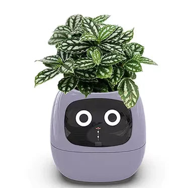 Smart Planter with AI